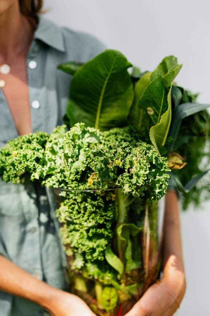 green_leafy_vegetables_in_summer